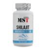 Mst Shilajit 60 Kapseln 2 100x100