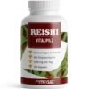 Profuel Reishi Vitalpilz 180 Kapseln 2 100x100